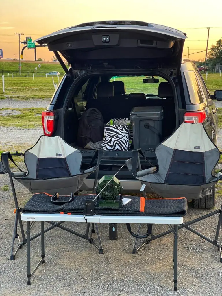 Movies at the drive in