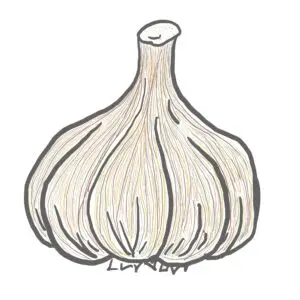 A Favorite Meal: My Spaghetti & Meat Sauce